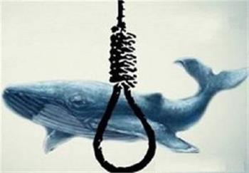 سقوط مرگبار دو دختر جوان در اصفهان بعد از وارد شدن به بازی نهنگ آبی