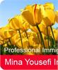 M.Y. Immigration Services