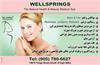 WellSpring College of Massage Therapy and Esthetic