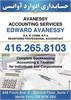 1- Avanessy Accounting Services