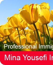 M.Y. Immigration Services