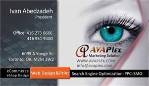 Avaplex Web Design Marketing Solution