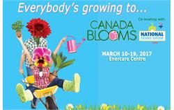 Canada Blooms and National Home Show