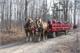 March Break Event - Sugarbush Maple Syrup Festival